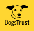 Dogs Trust Christmas campaign